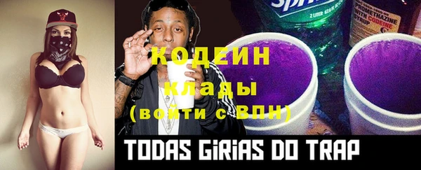 mix Пересвет