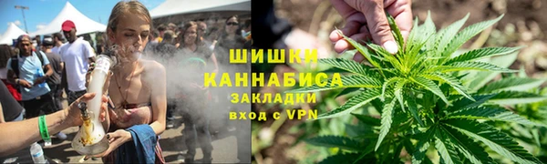 дживик Баксан