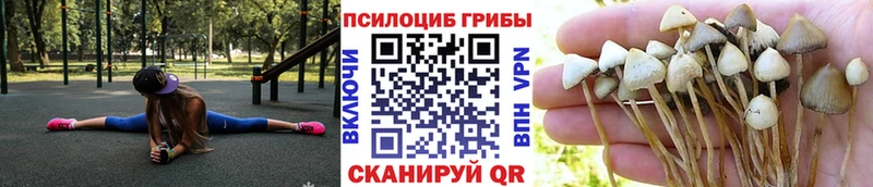 Псилоцибиновые грибы ЛСД  Советская Гавань 